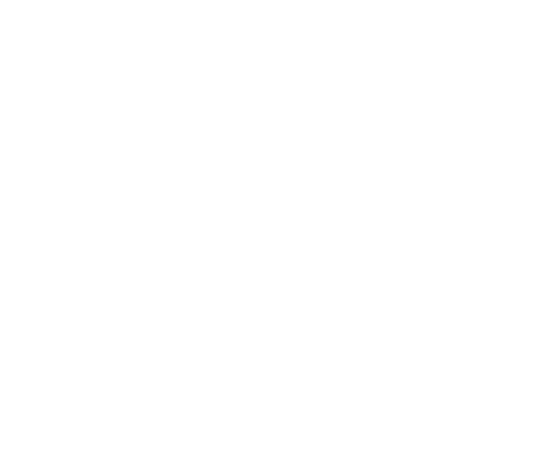 White Switch Logo-02